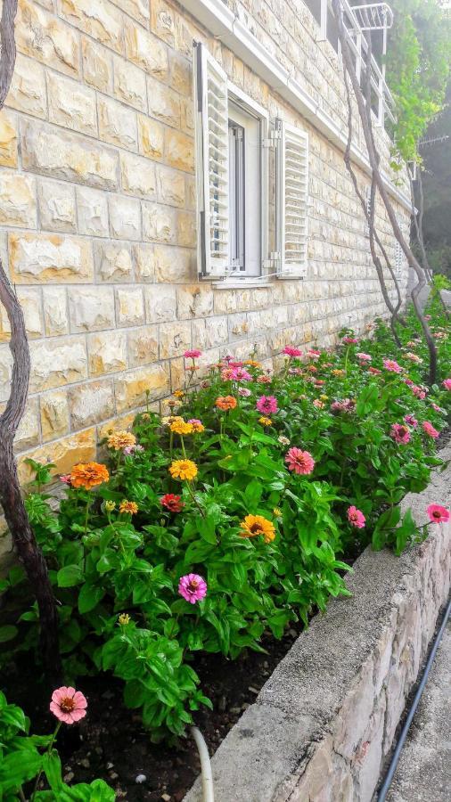 Apartmani Ad Hvar Hvar Town Dış mekan fotoğraf